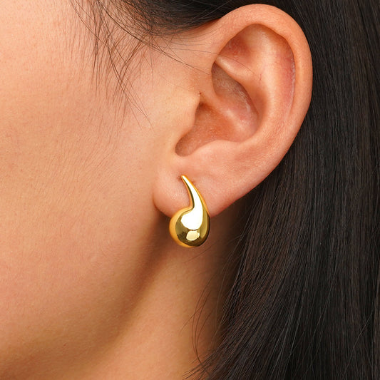 Gnoce Drop Shape Earrings_5