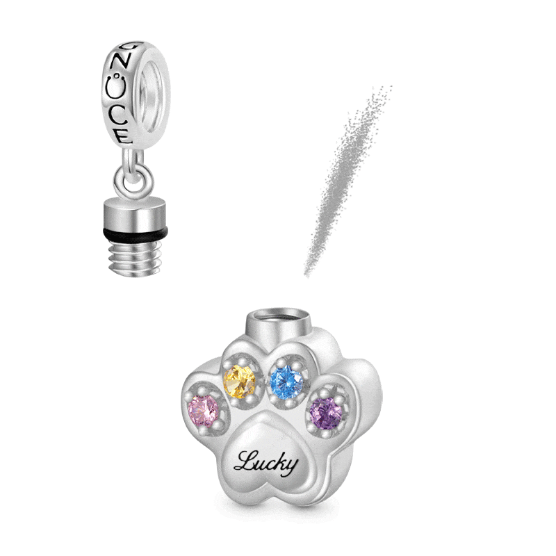 Gnoce Engravable Paw Urn Ashes Charm Platinum-plated Silver Blend_1